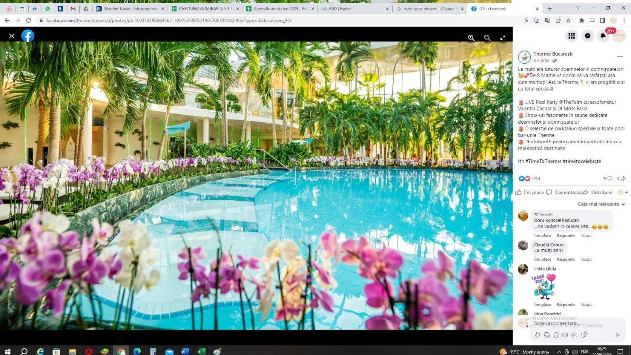Bliss Inn Tunari Voluntari Kültér fotó